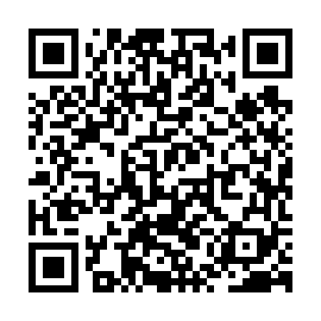 QR code for ZUI669