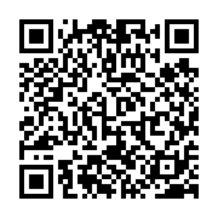 QR code for ZUM611