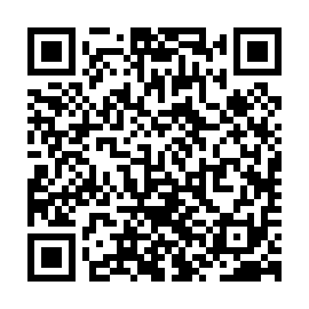 QR code for ZVB011