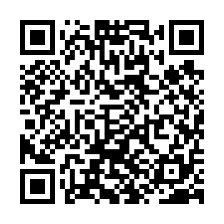 QR code for ZVI615