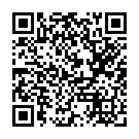 QR code for ZXA308