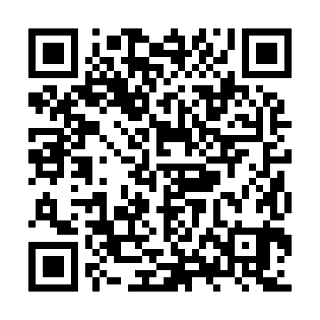 QR code for ZXB981