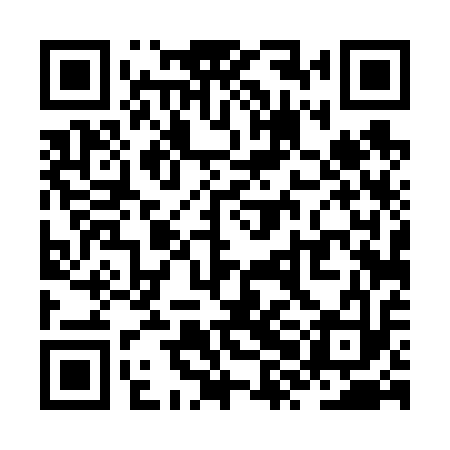 QR code for ZXD613