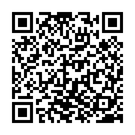 QR code for ZXG069
