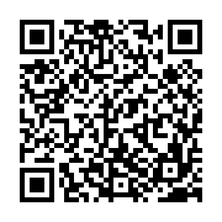 QR code for ZXK016