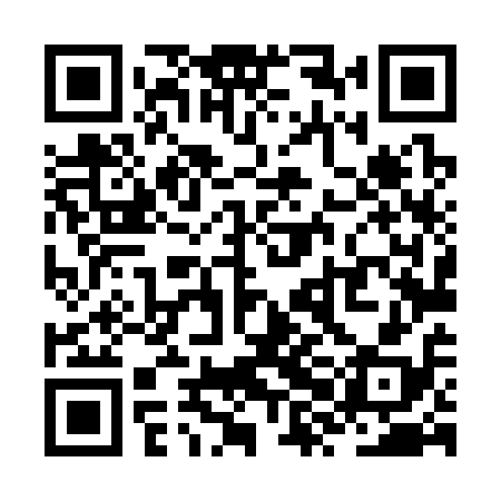 QR code for ZXL318