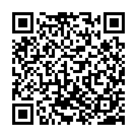 QR code for ZXM300