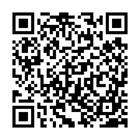 QR code for ZXN667