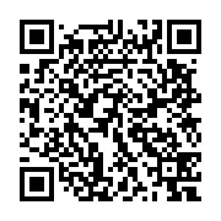 QR code for ZXS539