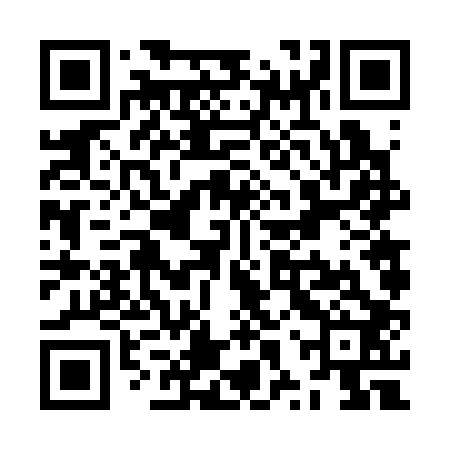 QR code for ZXV302