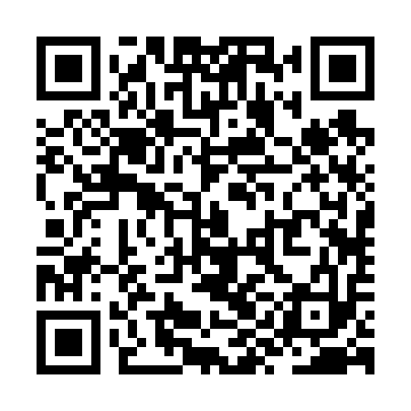 QR code for ZYB613