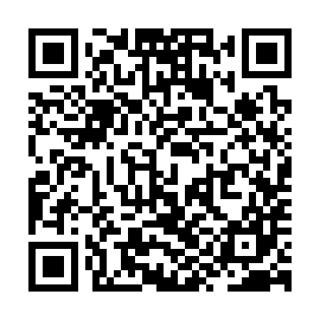 QR code for ZYC387