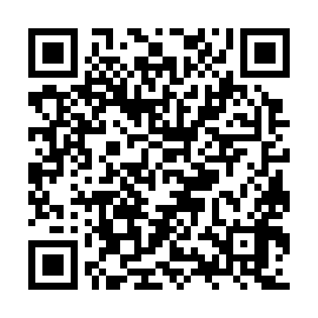 QR code for ZYG398