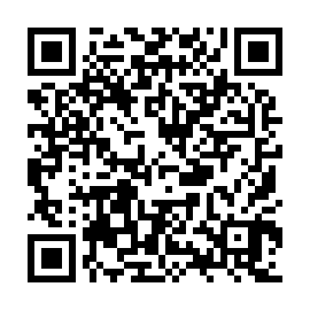 QR code for ZYI900