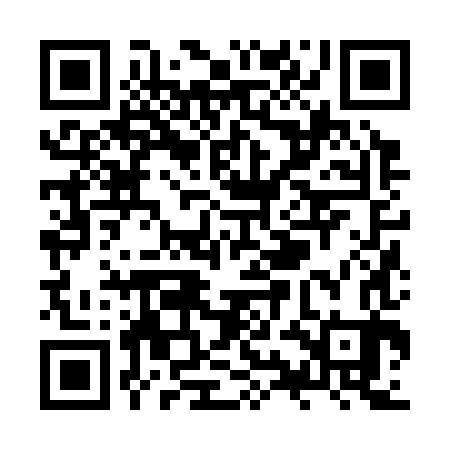 QR code for ZYJ383