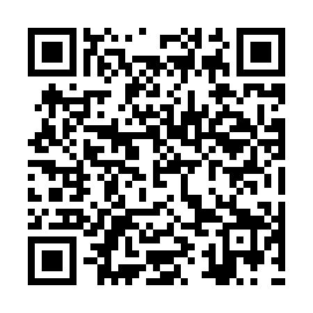 QR code for ZYJ809