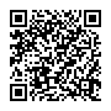 QR code for ZYN866