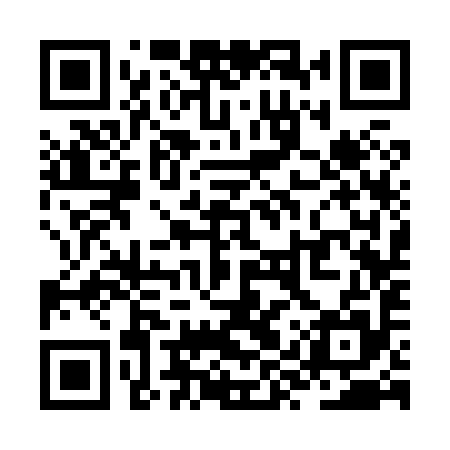 QR code for ZYS895