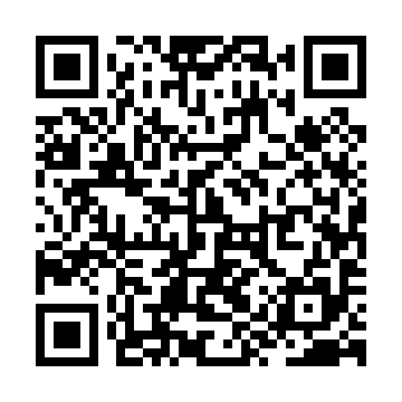 QR code for ZYU095