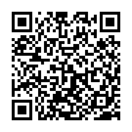QR code for ZYU290