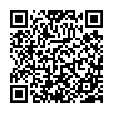 QR code for ZYX607
