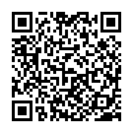 QR code for ZYZ119