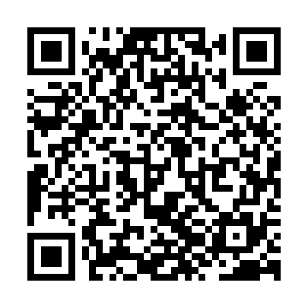 QR code for ZZE875