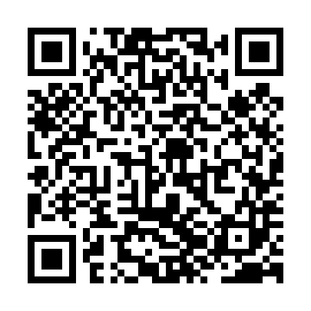 QR code for ZZG483