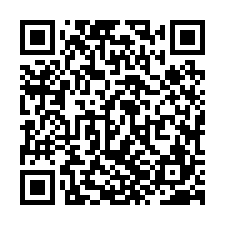 QR code for ZZJ226