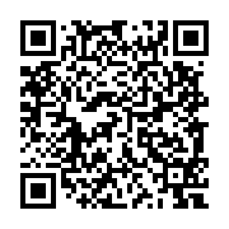 QR code for ZZL594