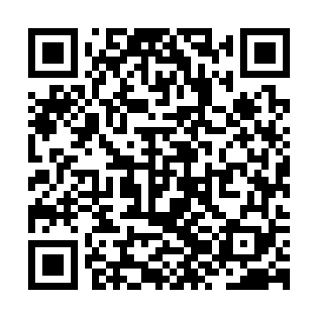 QR code for ZZM369