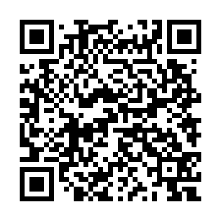 QR code for ZZN733