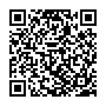 QR code for ZZO237