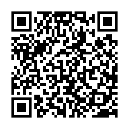 QR code for ZZP709