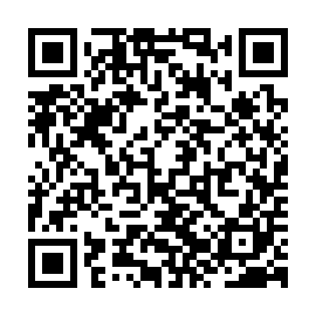 QR code for ZZS300