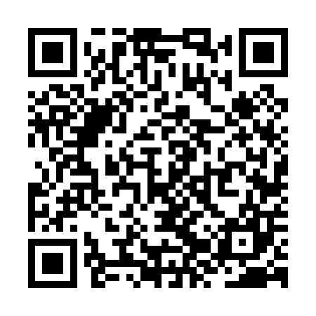QR code for ZZV007