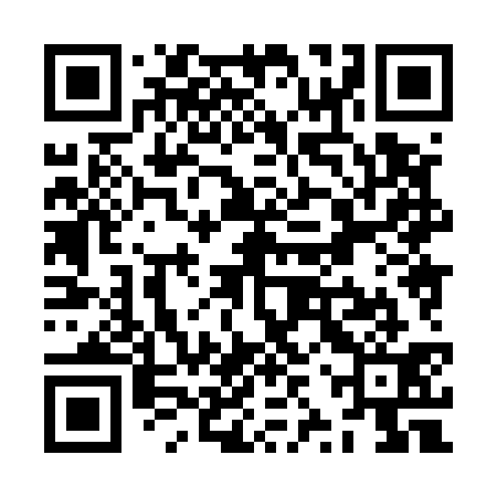 QR code for ZZX531