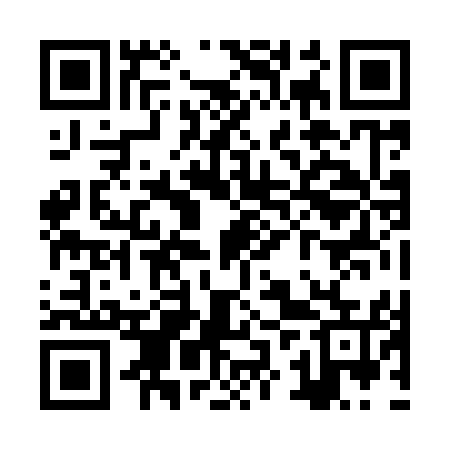 QR code for ZZZ955