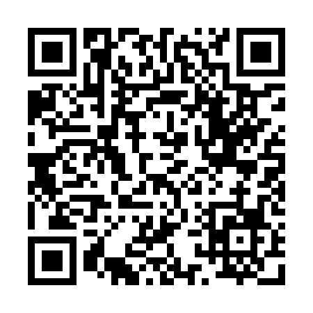 QR code for 0119P