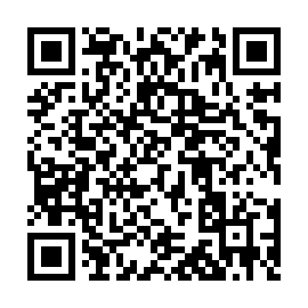 QR code for 0399Z
