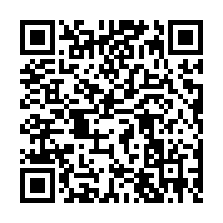 QR code for 0401Z