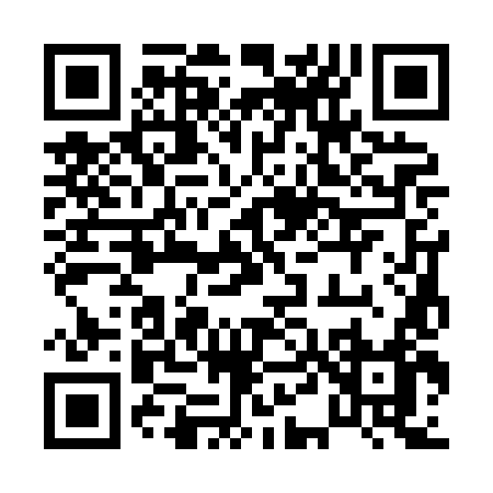 QR code for 0438L