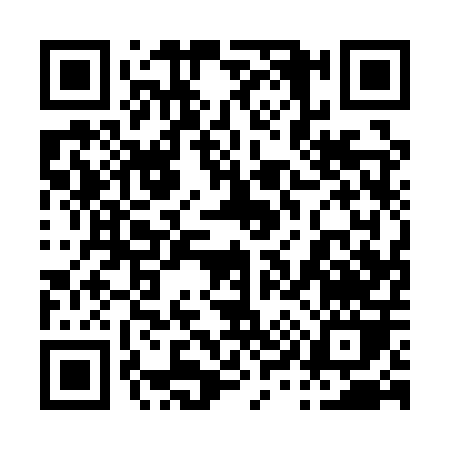 QR code for 0911P