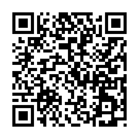 QR code for 11161