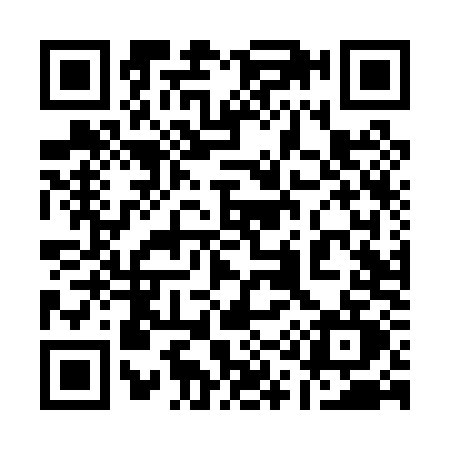 QR code for 114P