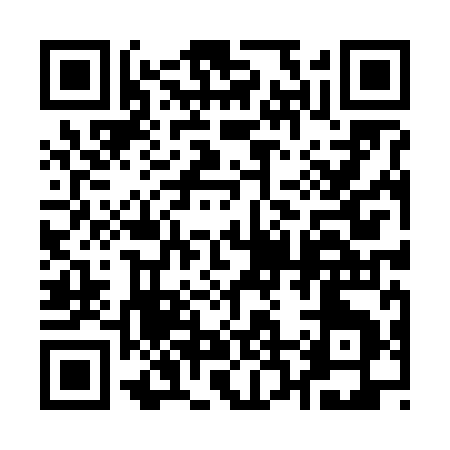 QR code for 12869
