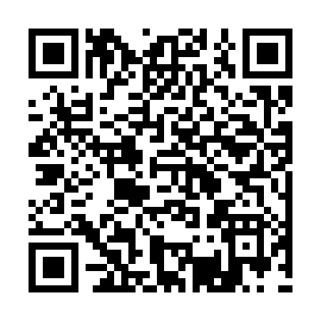 QR code for 13338