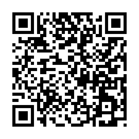 QR code for 14161