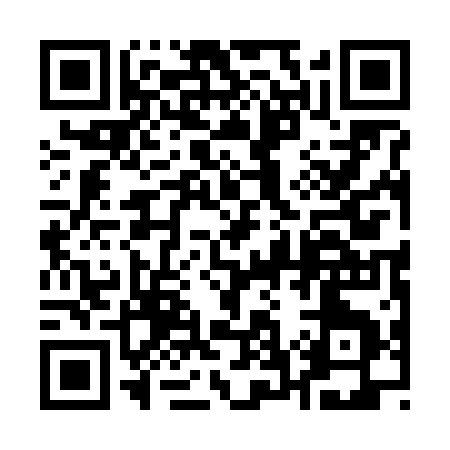 QR code for 17161