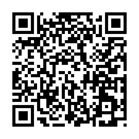 QR code for 17207